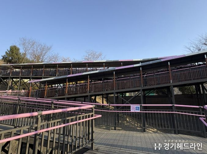 원미산 진달래동산 ‘무장애 데크로드’ 조성 모습