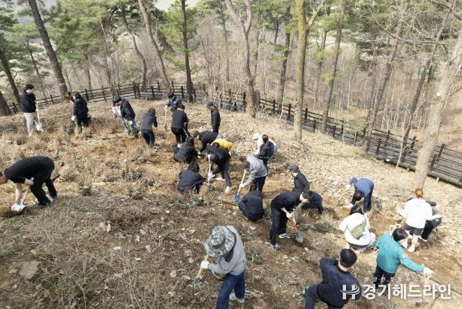 연천군, 제81회 식목일 기념 산철쭉 식재